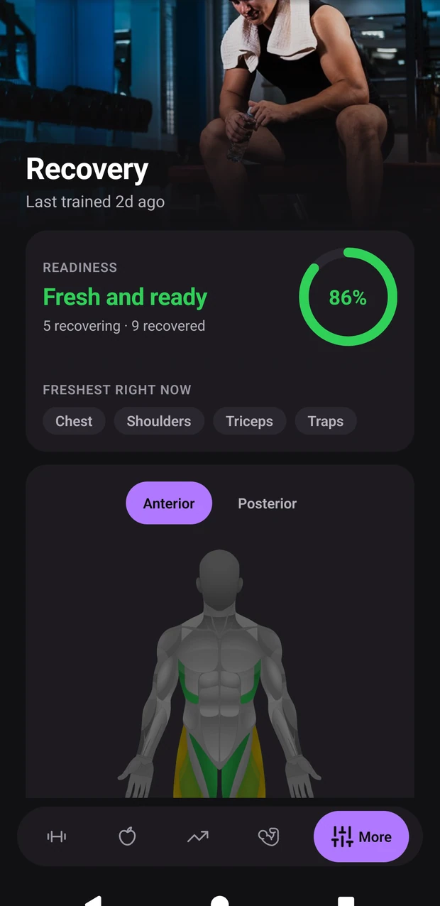 The recovery map, showing which muscles are still fatigued and which have cleared.